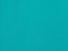 Leather Upholstery 耐燃彩虹皮系列 皮革 沙發皮革 1088 青綠色